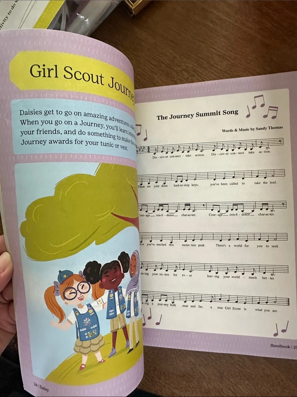 Daisy Handbook - like new, only 2 pages out/used.